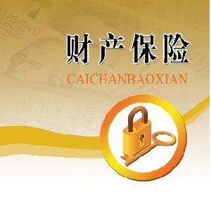 財產(chǎn)保險費計入什么會(huì )計科目,年度財產(chǎn)保險費計入會(huì )計科目,財產(chǎn)保險費的會(huì )計科目