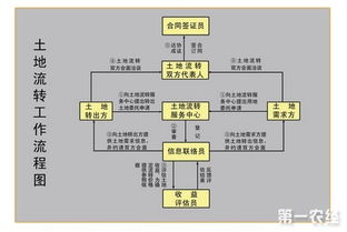 農村土地流轉會(huì )計科目是什么