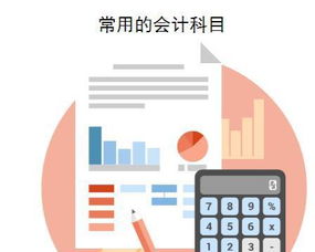 醫(yī)院會(huì)計(jì)科目核算內(nèi)容