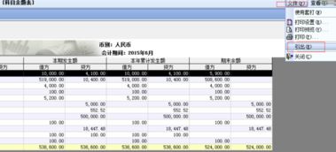 余額,會計科目,u8