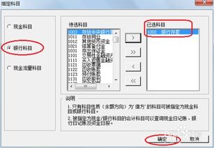 指定會(huì )計科目u8