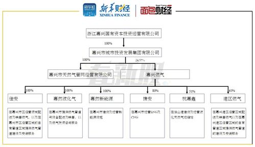 天然氣,管道,會(huì )計科目,供應