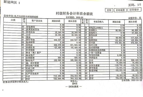 村級財務(wù)會(huì )計科目圖書(shū)
