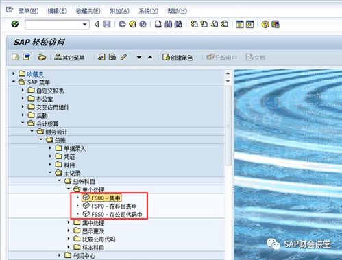 sap系統打開(kāi)會(huì )計科目快捷鍵