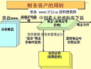 資產(chǎn),會(huì )計科目,生物,是哪個(gè)
