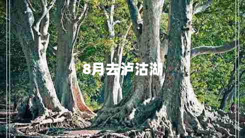 8月去瀘沽湖