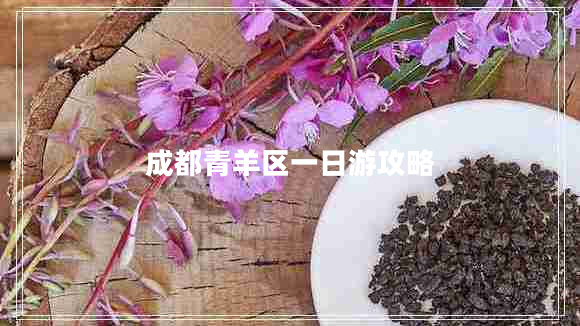 成都青羊區一日游攻略