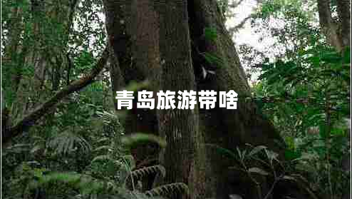 青島旅游帶啥