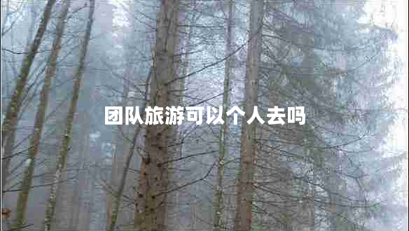 團隊旅游可以個(gè)人去嗎