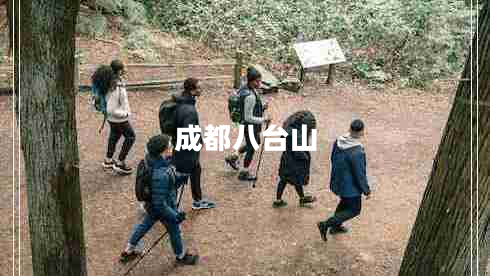 成都八臺山 成都八臺山