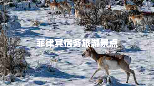 菲律賓宿務(wù)旅游景點(diǎn)