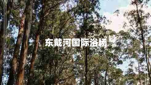 東戴河國際浴場(chǎng)