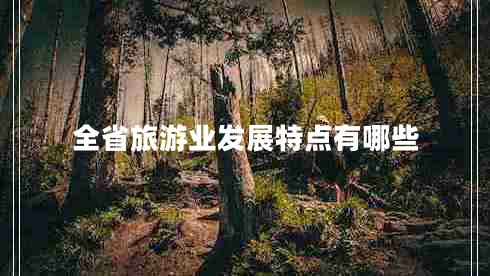 全省旅游業(yè)發(fā)展特點(diǎn)有哪些