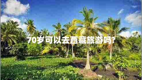 70歲可以去西藏旅游嗎?