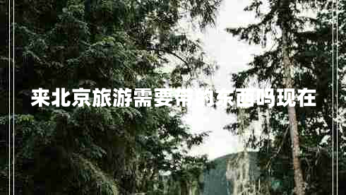 來(lái)北京旅游需要帶的東西嗎現在