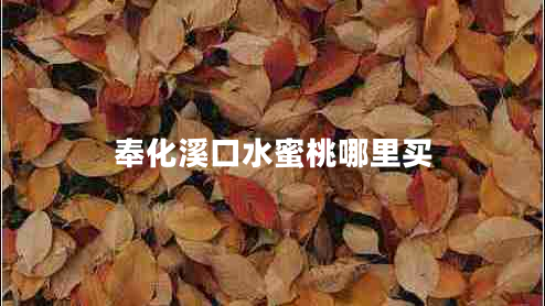 奉化溪口水蜜桃哪里買(mǎi)