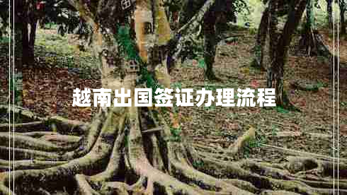 越南出國簽證辦理流程