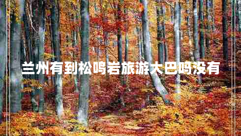 蘭州有到松鳴巖旅游大巴嗎沒(méi)有