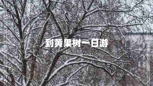 到黃果樹(shù)一日游