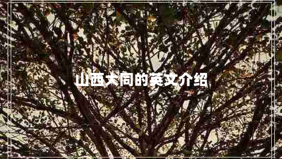 山西大同的英文介紹