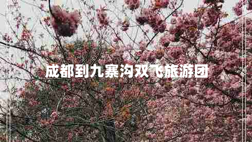 成都到九寨溝雙飛旅游團