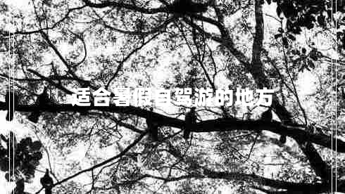 適合暑假自駕游的地方