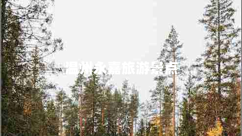 溫州永嘉旅游景點(diǎn)