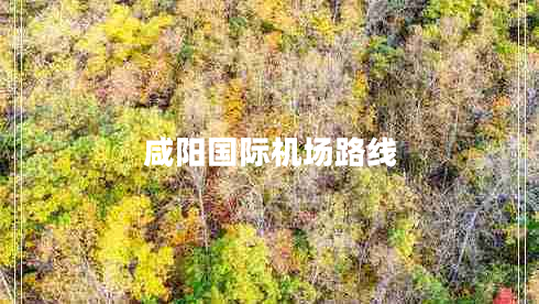 咸陽(yáng)國際機場(chǎng)路線(xiàn)