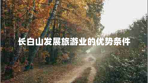 長(cháng)白山發(fā)展旅游業(yè)的優(yōu)勢條件