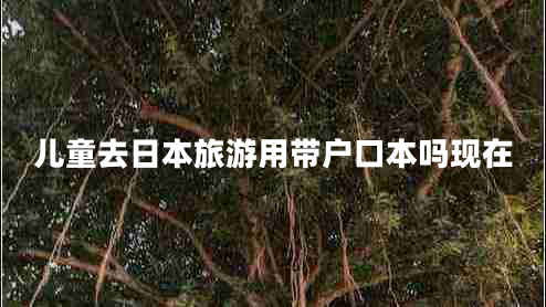 兒童去日本旅游用帶戶(hù)口本嗎現在