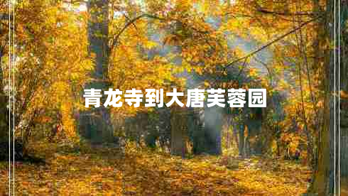 青龍寺到大唐芙蓉園