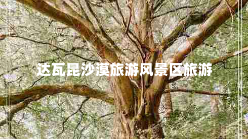 達瓦昆沙漠旅游風景區(qū)旅游