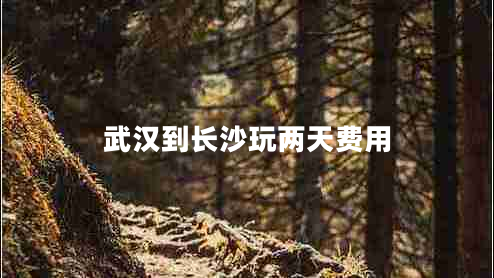 武漢到長沙玩兩天費用