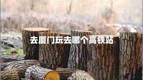 去廈門(mén)玩去哪個(gè)高鐵站