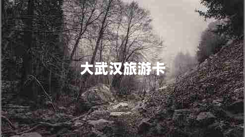 大武漢旅游卡