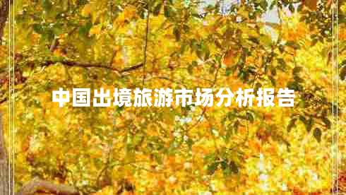 中國出境旅游市場(chǎng)分析報告