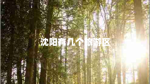 沈陽(yáng)有幾個(gè)旅游區