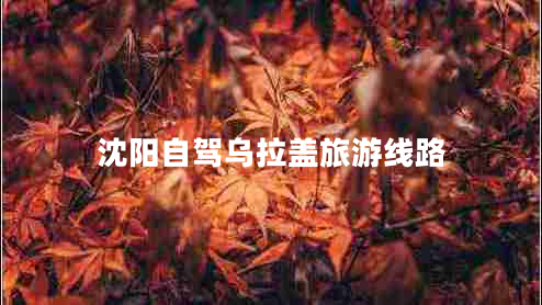 沈陽(yáng)自駕烏拉蓋旅游線(xiàn)路