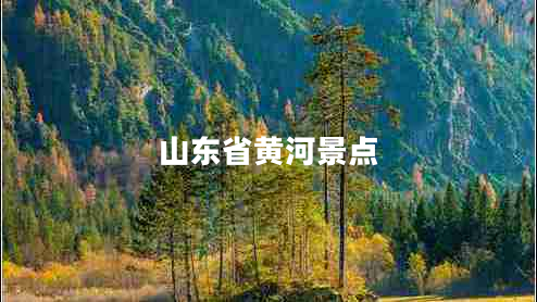 山東省黃河景點(diǎn)