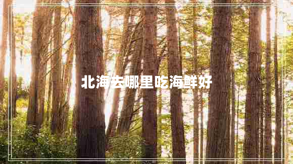 北海去哪里吃海鮮好