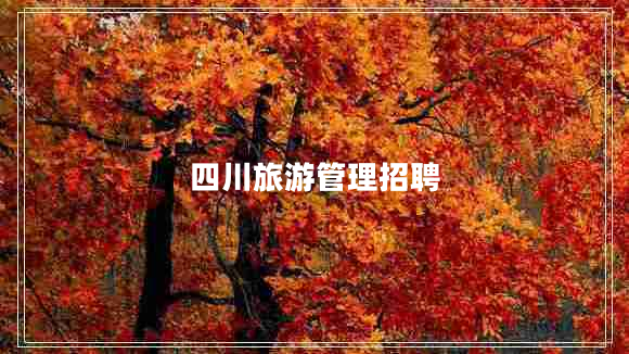 四川旅游管理招聘