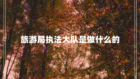 旅游局執法大隊是做什么的