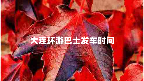 大連環(huán)游巴士發(fā)車時間
