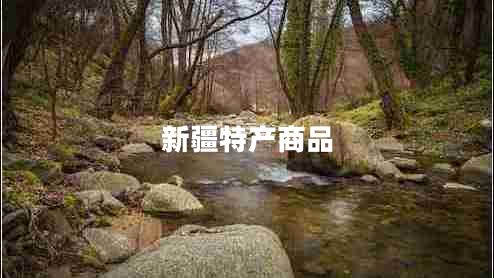 新疆特產(chǎn)商品