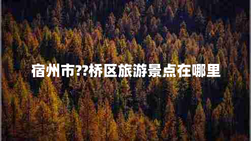 宿州市??橋區旅游景點(diǎn)在哪里