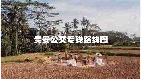 貴安公交專(zhuān)線路線圖