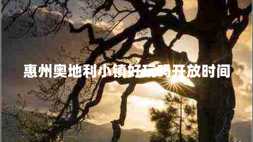 惠州奧地利小鎮好玩嗎開(kāi)放時(shí)間