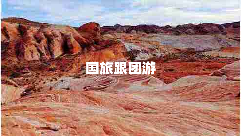 國旅跟團游