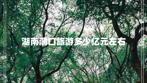 湖南洞口旅游多少億元左右