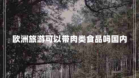 歐洲旅游可以帶肉類(lèi)食品嗎國內